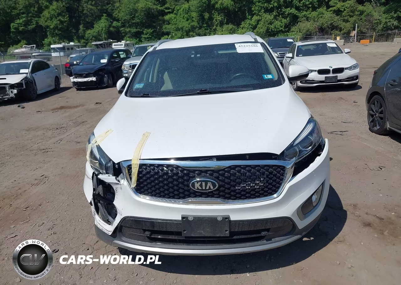 2017 Kia Sorento 2.0T Ex VIN:5XYPHDA14HG263054 - 12