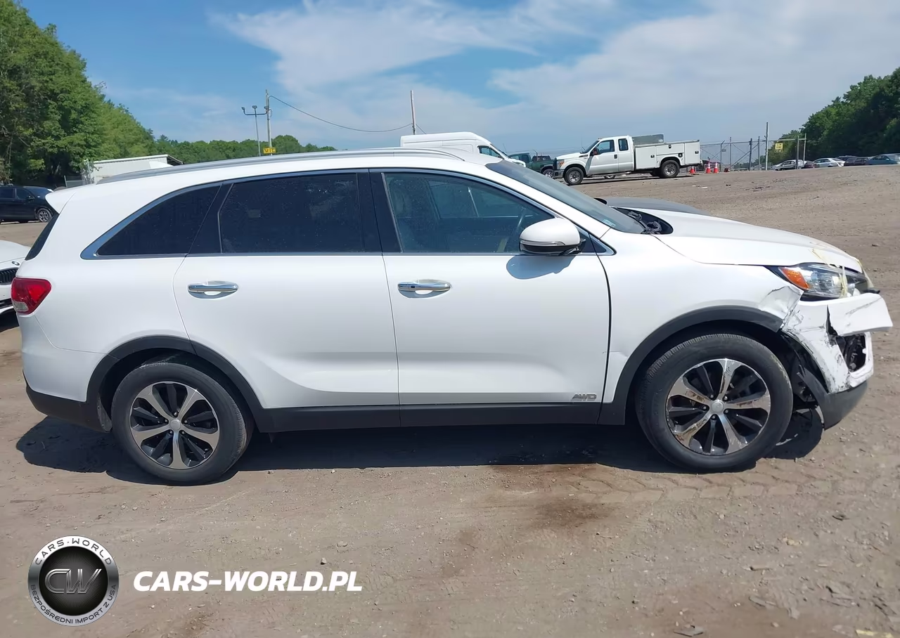 2017 Kia Sorento 2.0T Ex VIN:5XYPHDA14HG263054 - 13