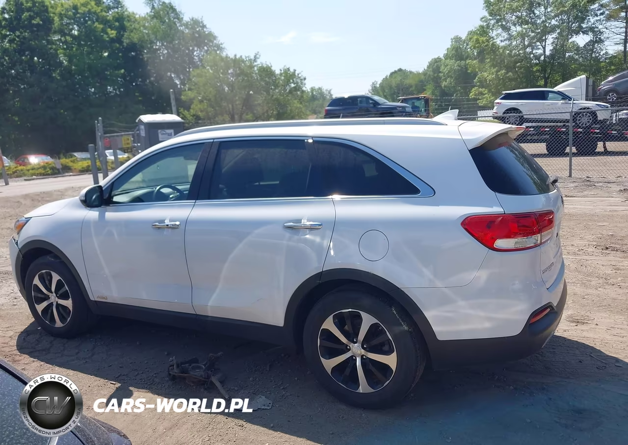 2017 Kia Sorento 2.0T Ex VIN:5XYPHDA14HG263054 - 14