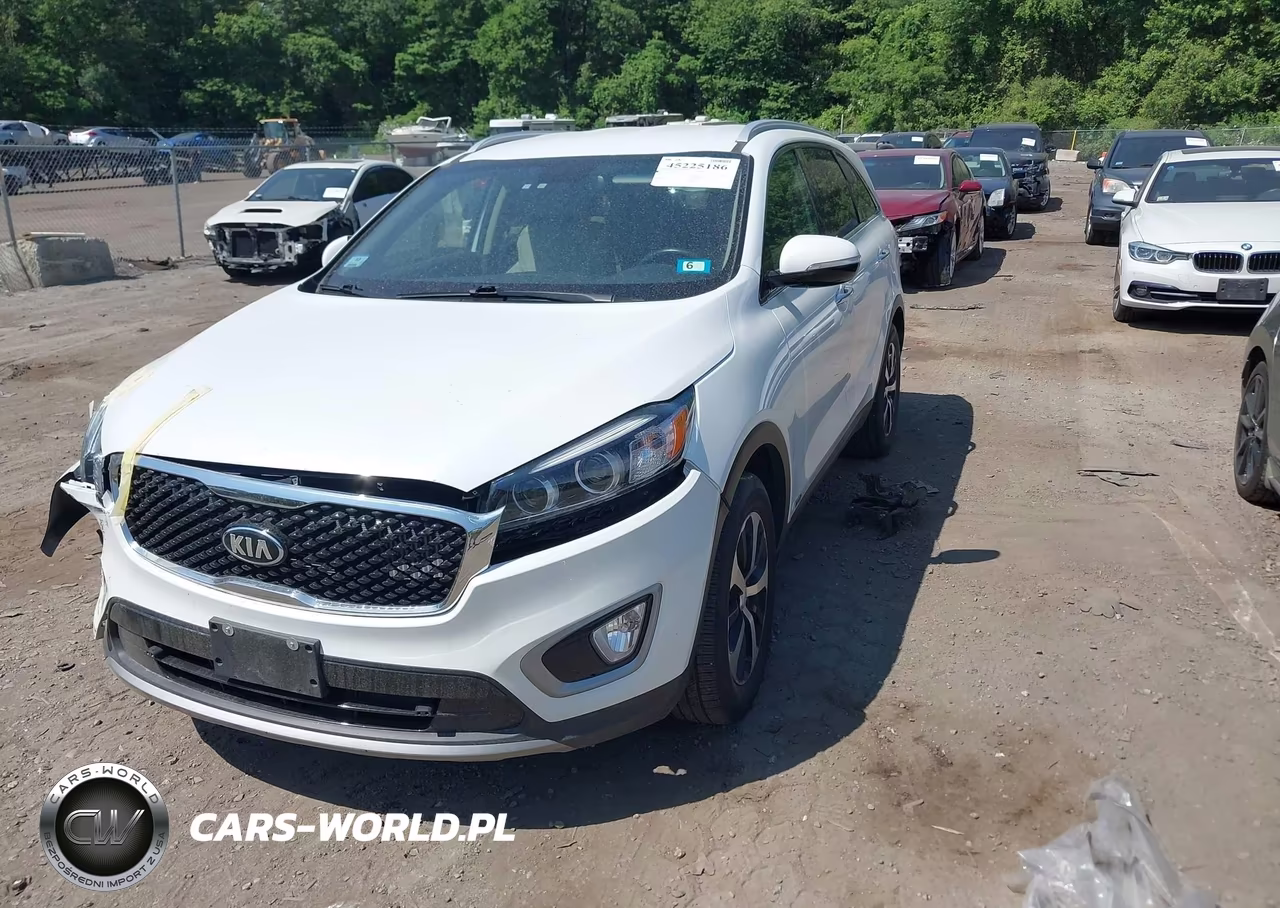 2017 Kia Sorento 2.0T Ex VIN:5XYPHDA14HG263054 - 2