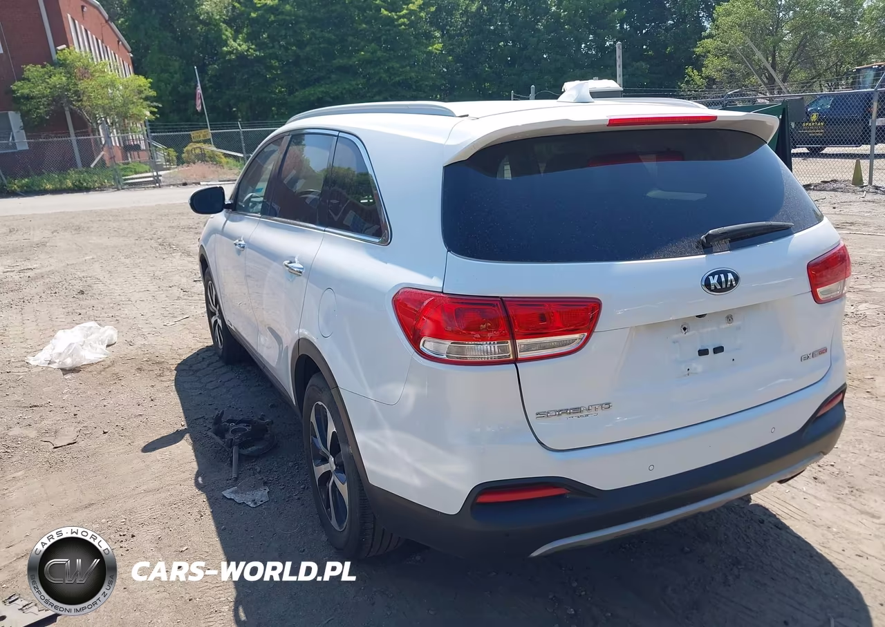 2017 Kia Sorento 2.0T Ex VIN:5XYPHDA14HG263054 - 3