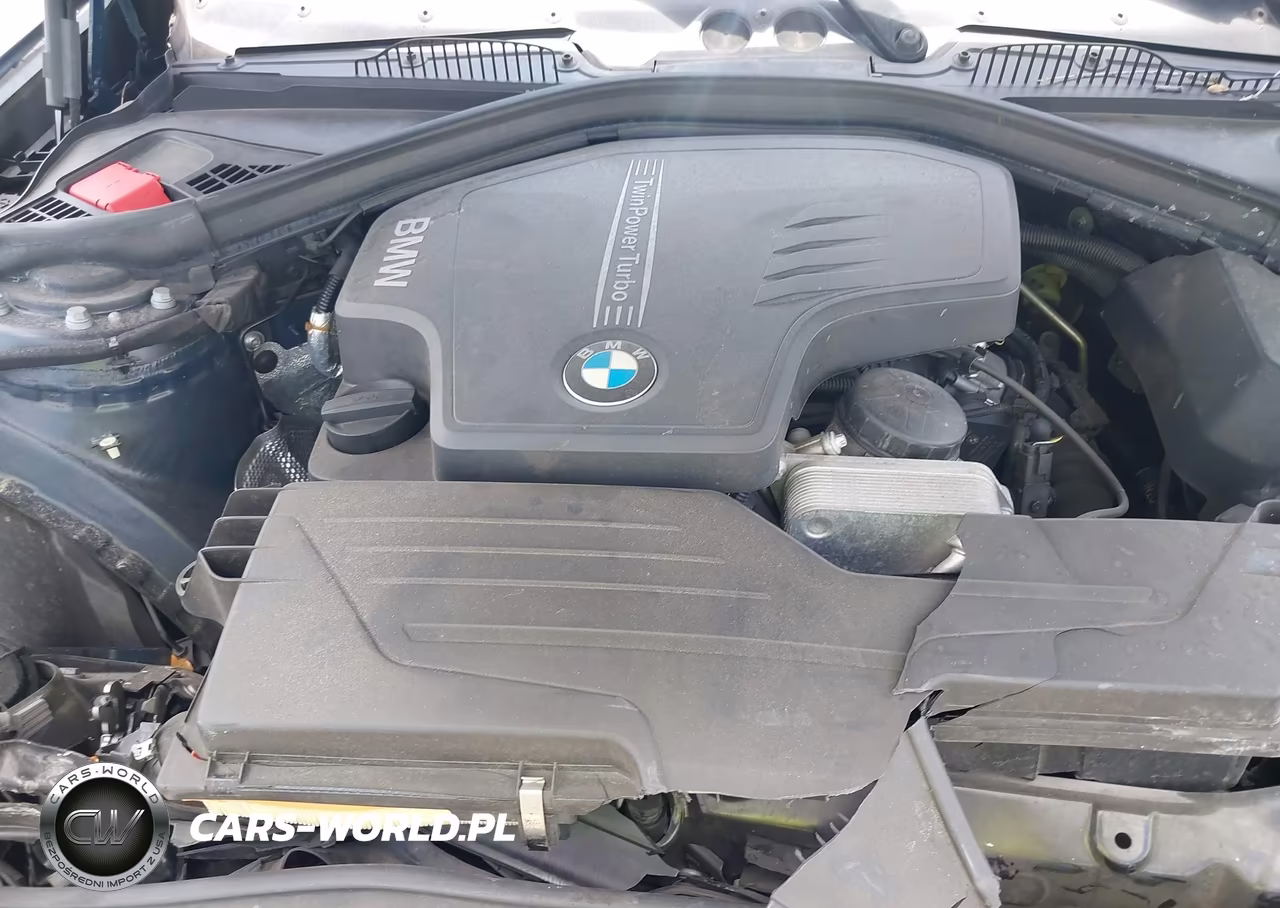 2016 BMW 228I VIN:WBA1F9C57GV742372 - 10