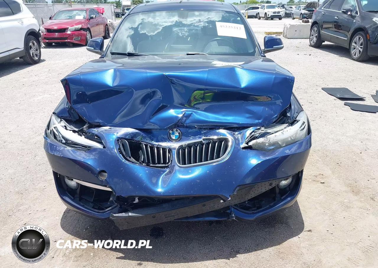 2016 BMW 228I VIN:WBA1F9C57GV742372 - 12