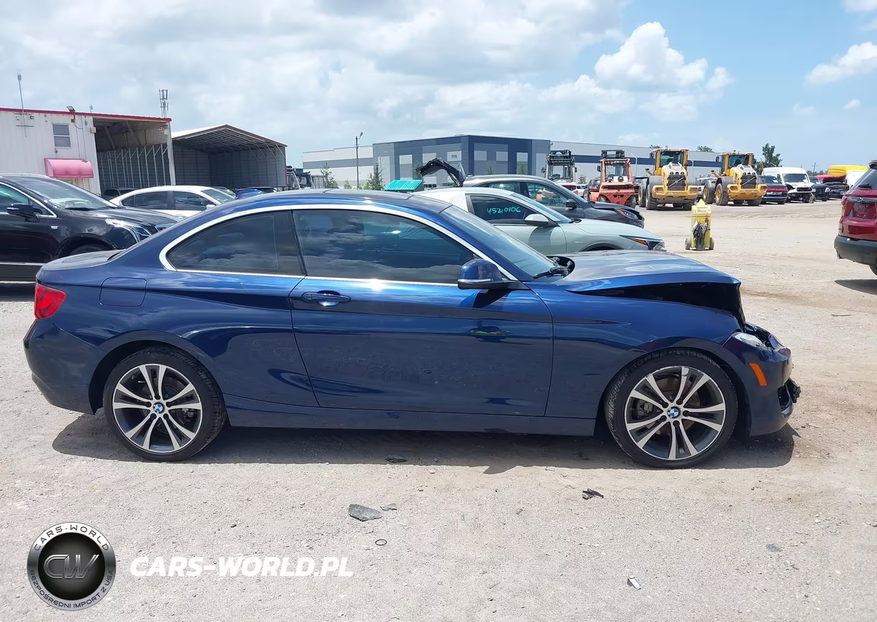 2016 BMW 228I VIN:WBA1F9C57GV742372 - 13