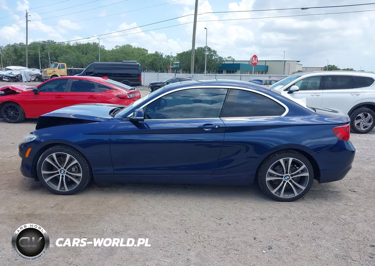 2016 BMW 228I VIN:WBA1F9C57GV742372 - 14