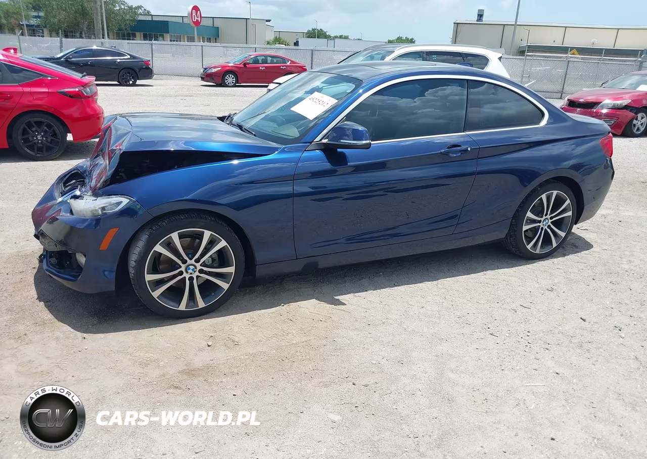 2016 BMW 228I VIN:WBA1F9C57GV742372 - 2