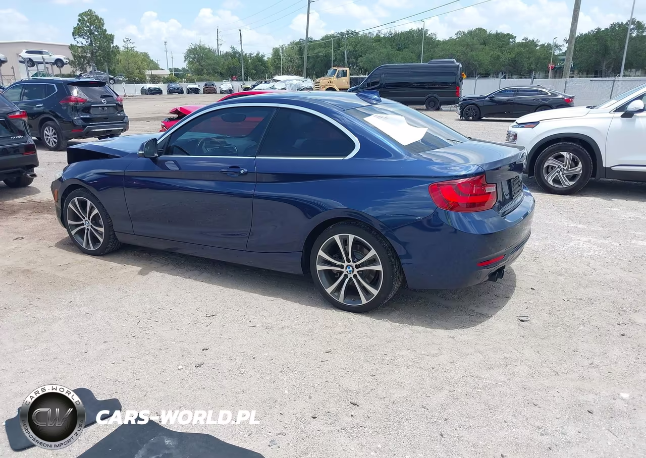 2016 BMW 228I VIN:WBA1F9C57GV742372 - 3