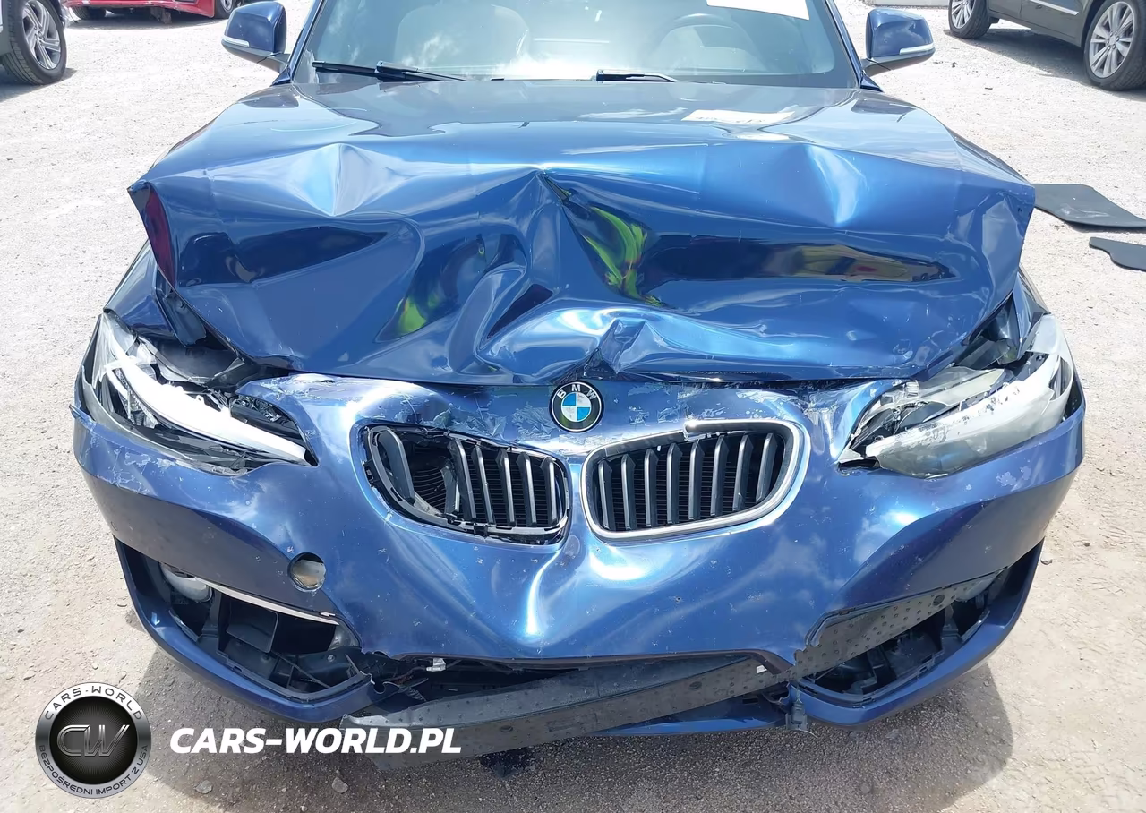2016 BMW 228I VIN:WBA1F9C57GV742372 - 6