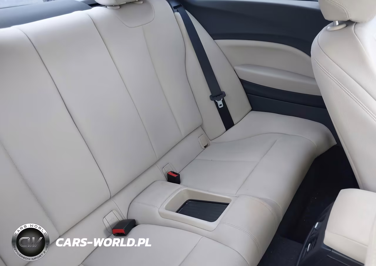 2016 BMW 228I VIN:WBA1F9C57GV742372 - 8