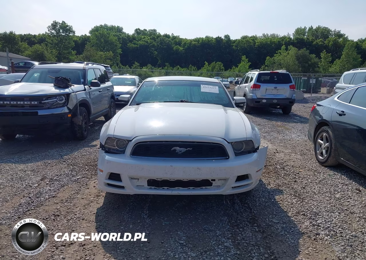 2013 Ford Mustang V6 Premium VIN:1ZVBP8AM0D5260425 - 13