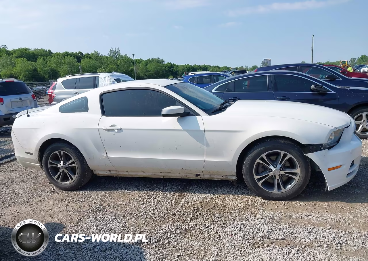 2013 Ford Mustang V6 Premium VIN:1ZVBP8AM0D5260425 - 14