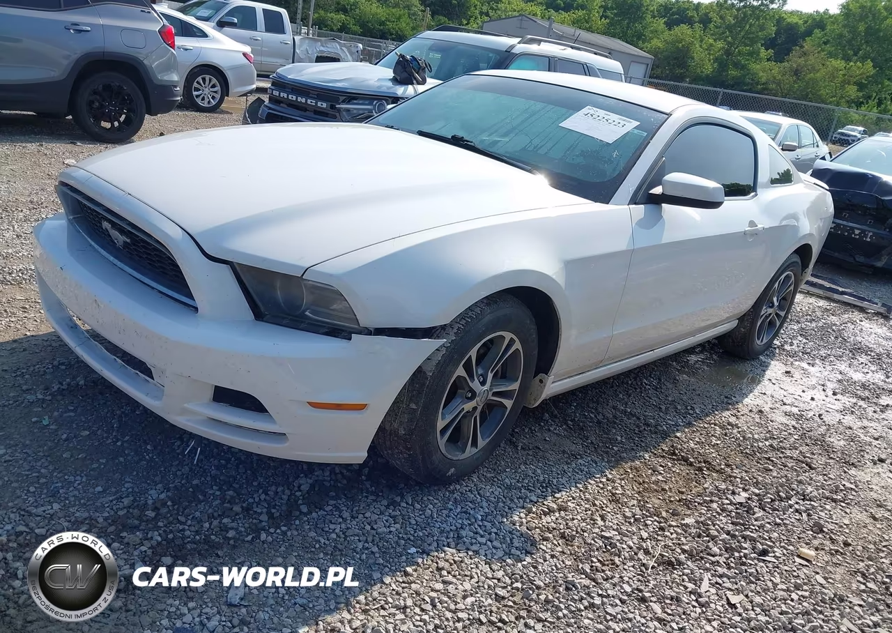 2013 Ford Mustang V6 Premium VIN:1ZVBP8AM0D5260425 - 2