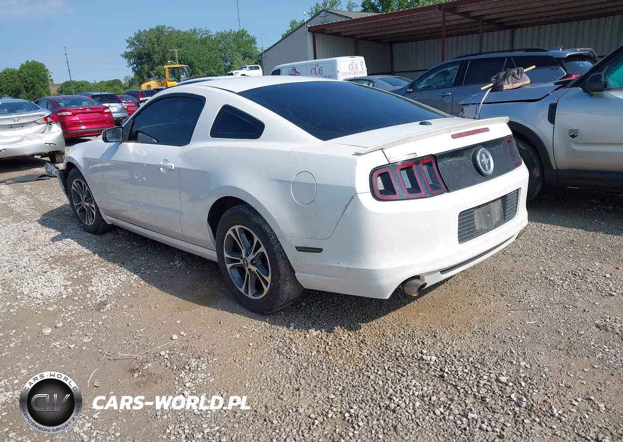 2013 Ford Mustang V6 Premium VIN:1ZVBP8AM0D5260425 - 3