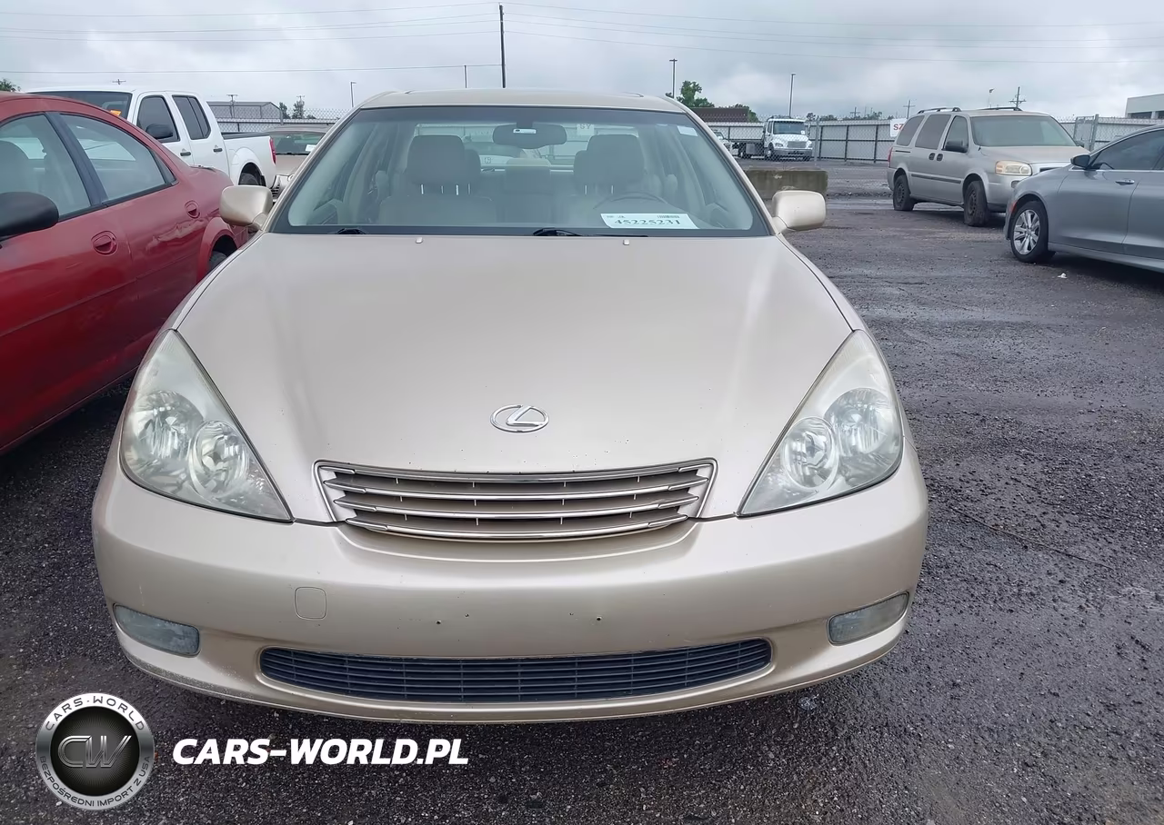 2004 Lexus Es 330 VIN:JTHBA30G545038495 - 12