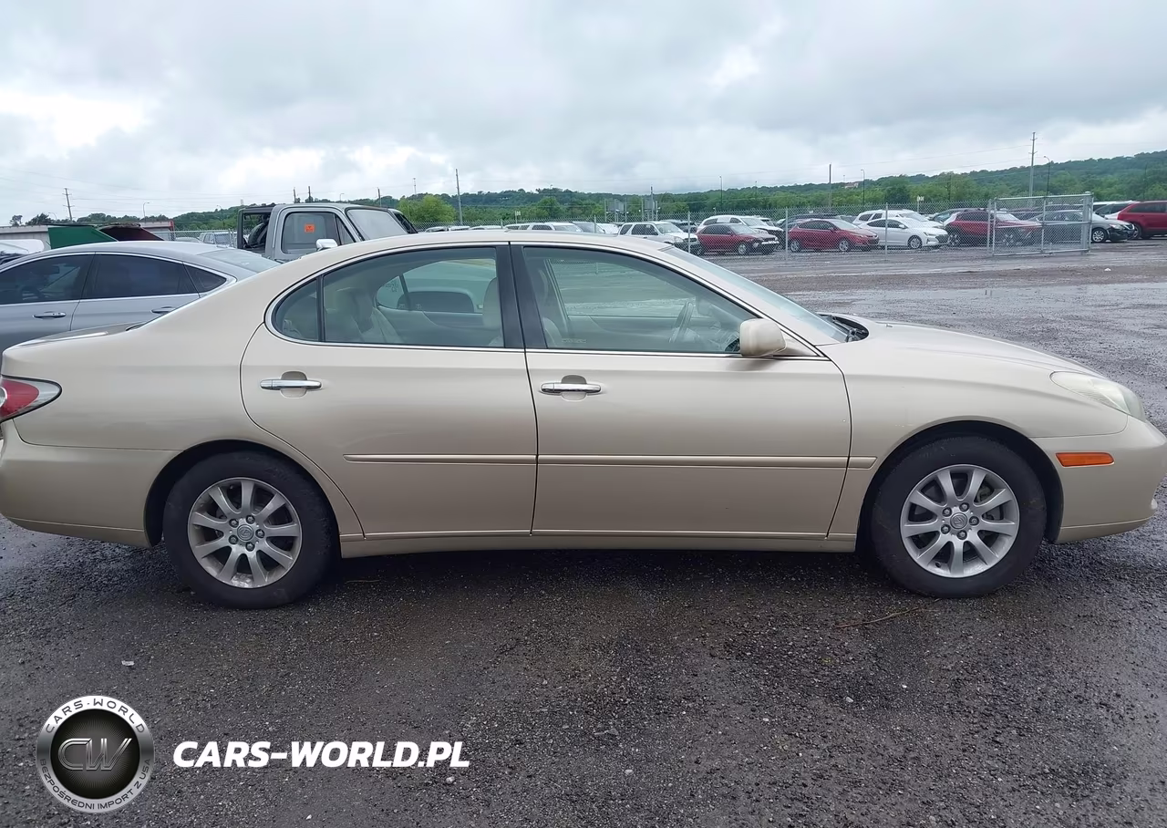 2004 Lexus Es 330 VIN:JTHBA30G545038495 - 13