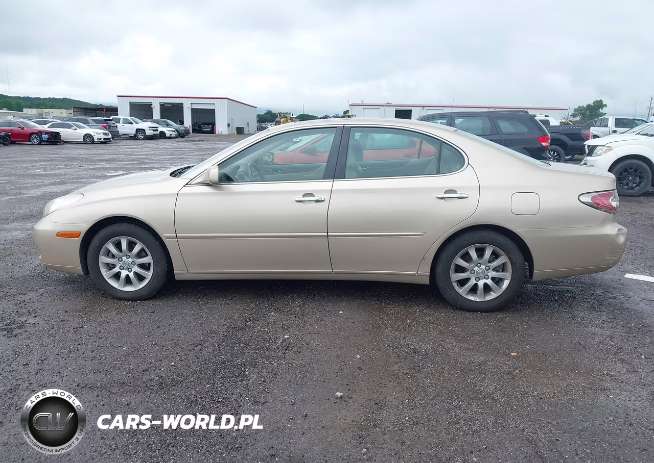 2004 Lexus Es 330 VIN:JTHBA30G545038495 - 14