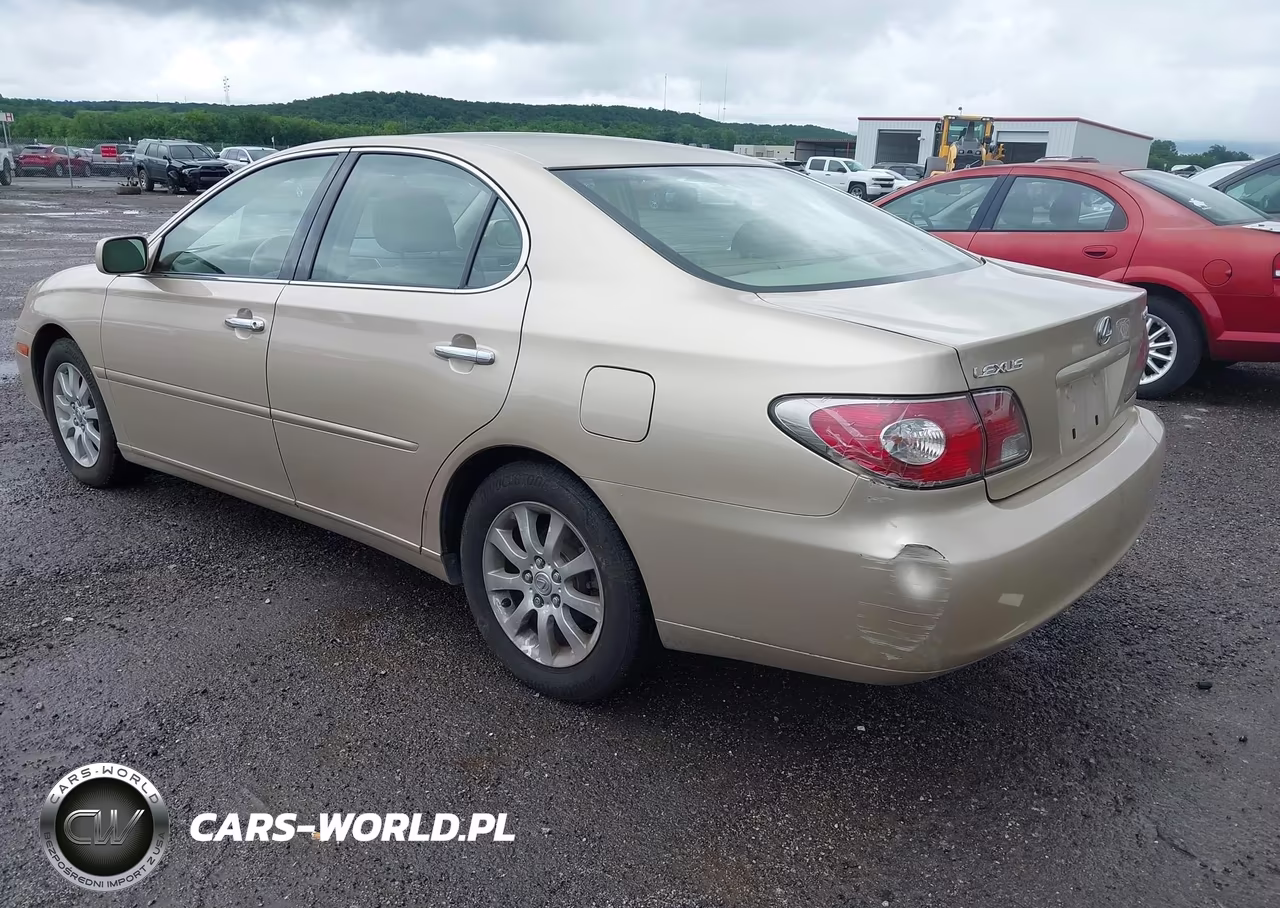 2004 Lexus Es 330 VIN:JTHBA30G545038495 - 3