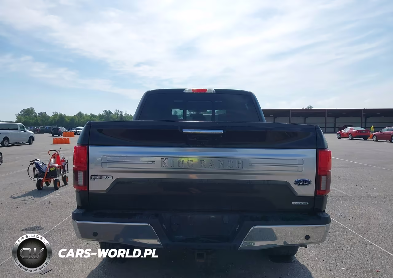 2018 Ford F-150 King Ranch VIN:1FTEW1EG4JFD04351 - 17