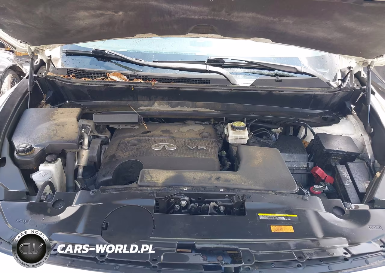 2015 Infiniti Qx60 VIN:5N1AL0MM0FC549919 - 10