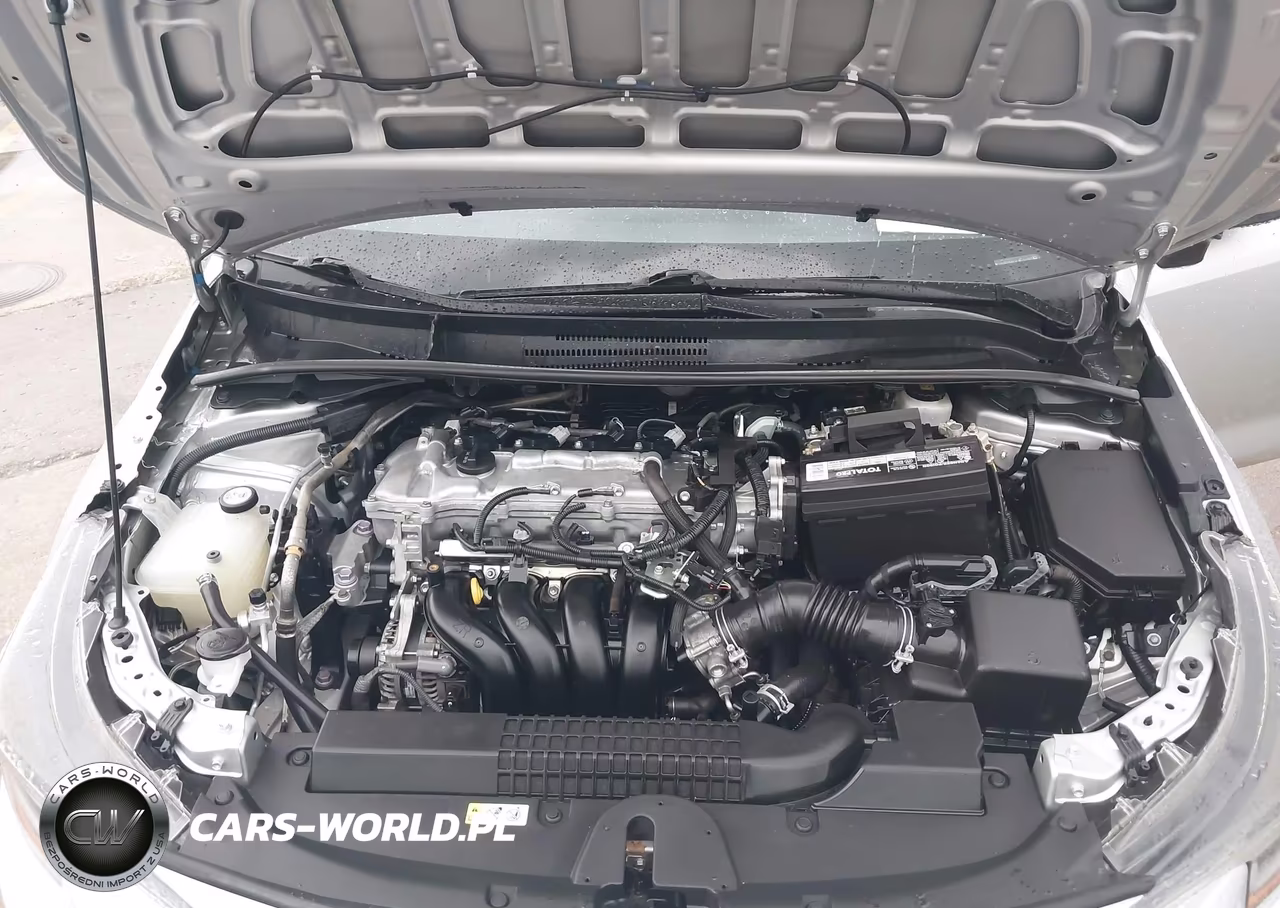 2020 Toyota Corolla Le VIN:5YFEPRAE4LP133757 - 10