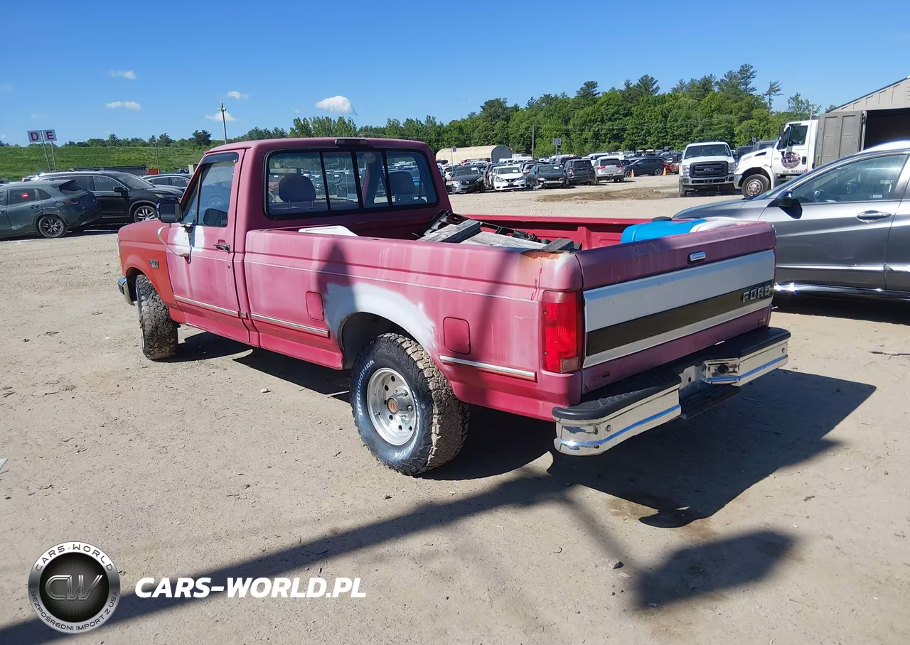 1994 Ford F150 VIN:1FTEF15NXRLA16488 - 3