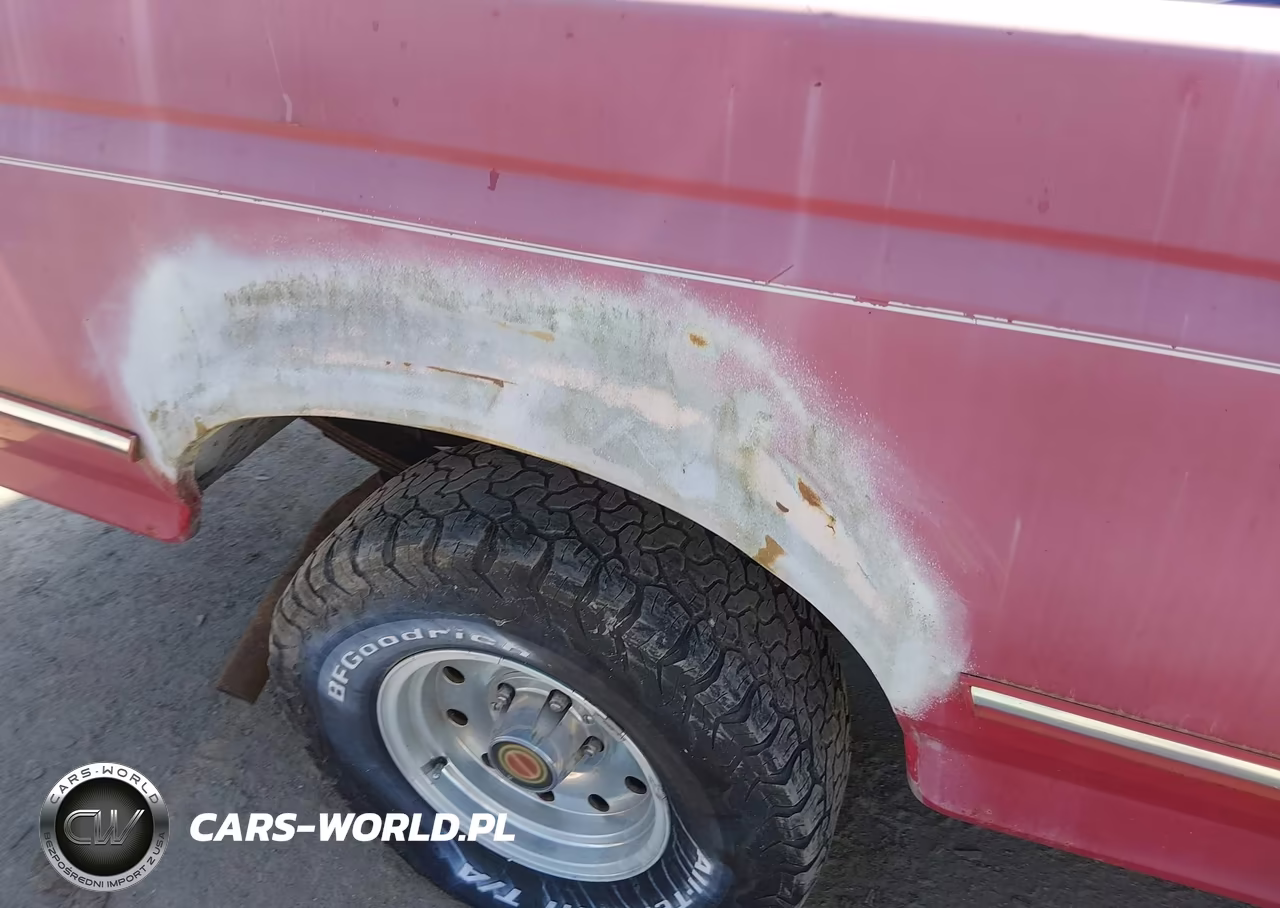 1994 Ford F150 VIN:1FTEF15NXRLA16488 - 6