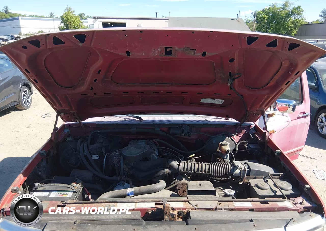 1994 Ford F150 VIN:1FTEF15NXRLA16488 - 9