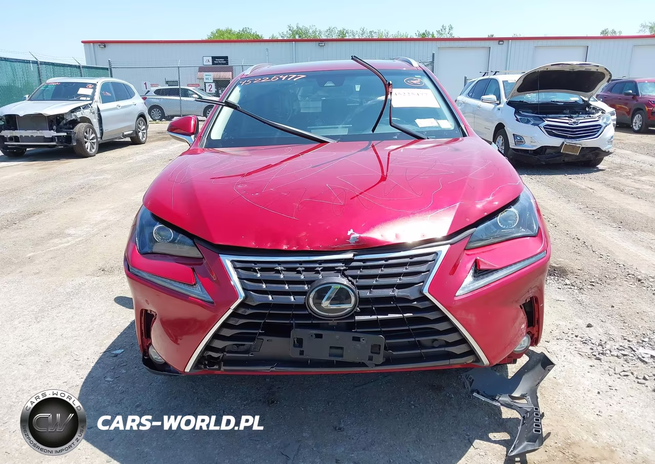 2019 Lexus Nx 300 VIN:JTJBARBZ9K2185319 - 12
