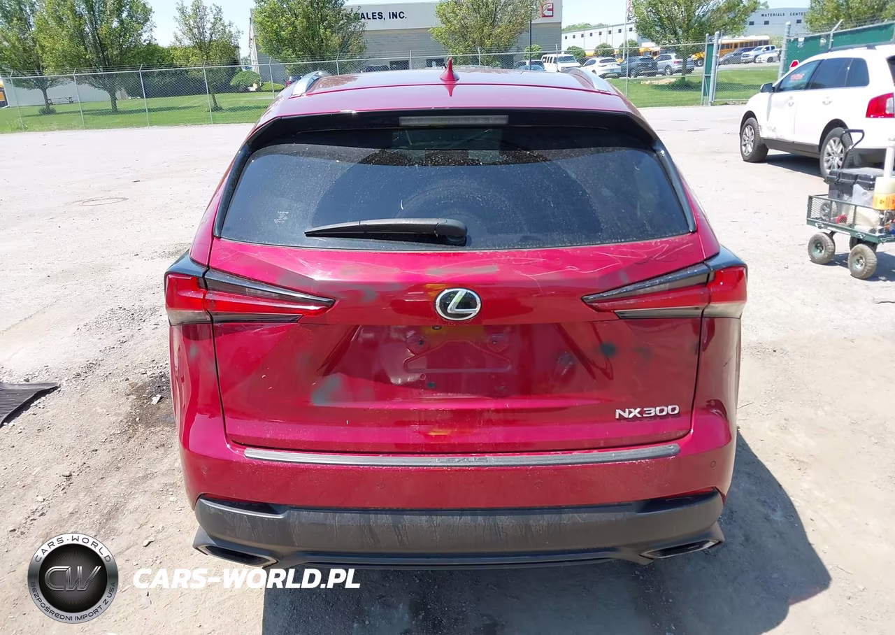 2019 Lexus Nx 300 VIN:JTJBARBZ9K2185319 - 16