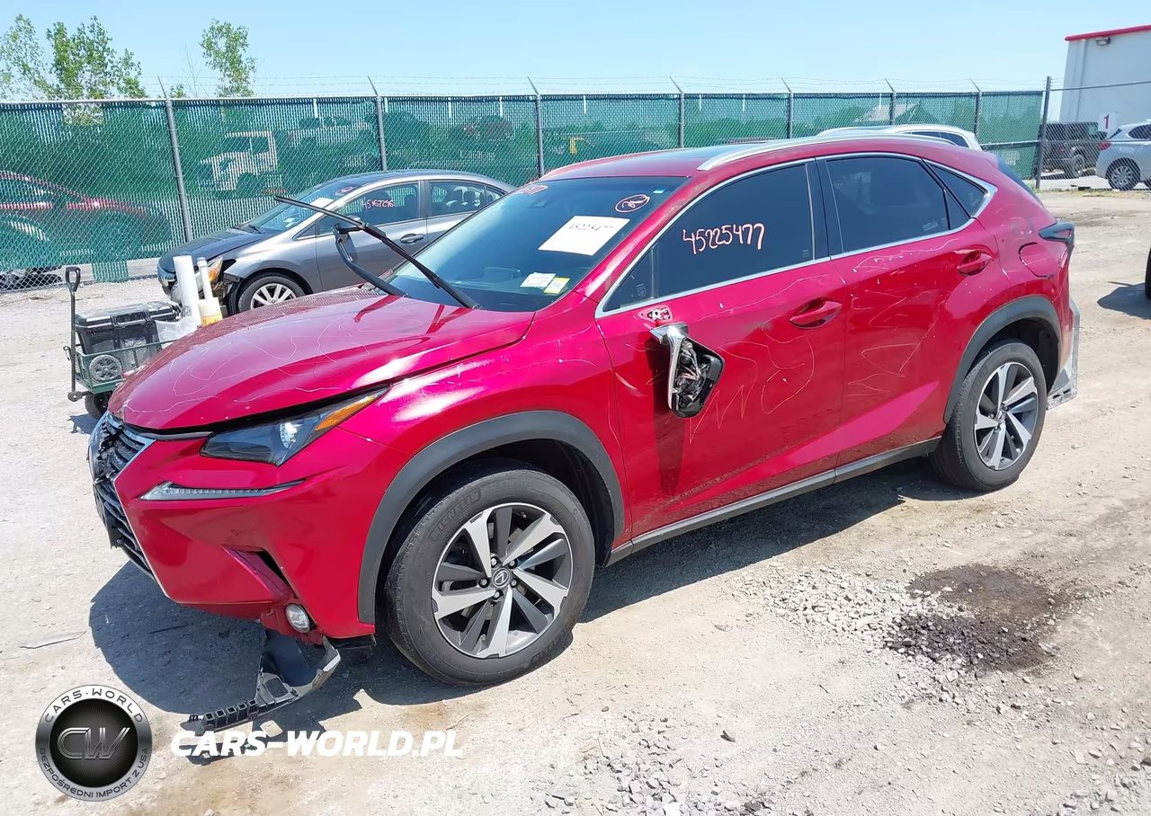 2019 Lexus Nx 300 VIN:JTJBARBZ9K2185319 - 2