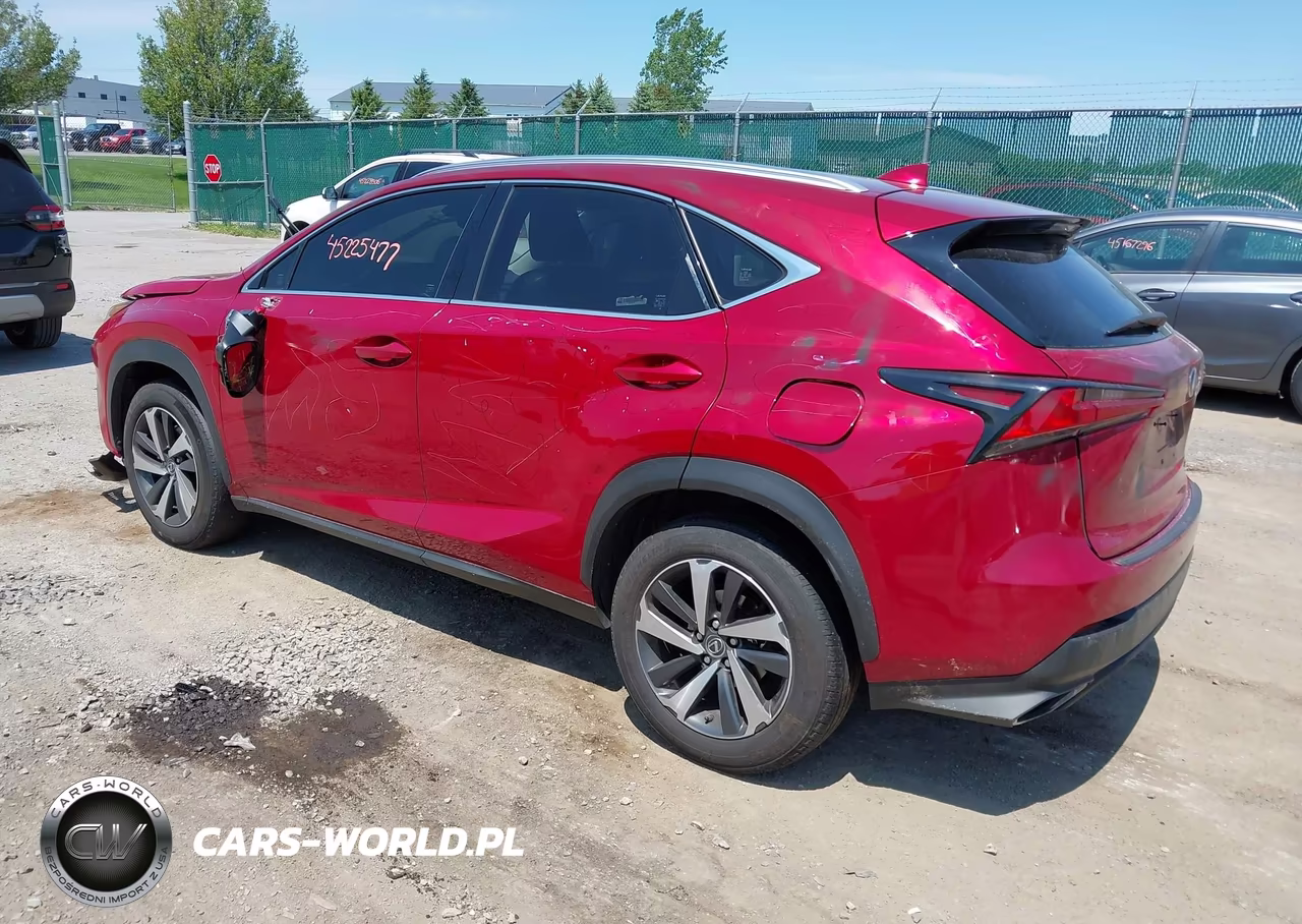 2019 Lexus Nx 300 VIN:JTJBARBZ9K2185319 - 3