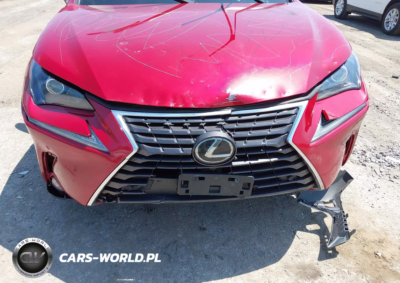 2019 Lexus Nx 300 VIN:JTJBARBZ9K2185319 - 6