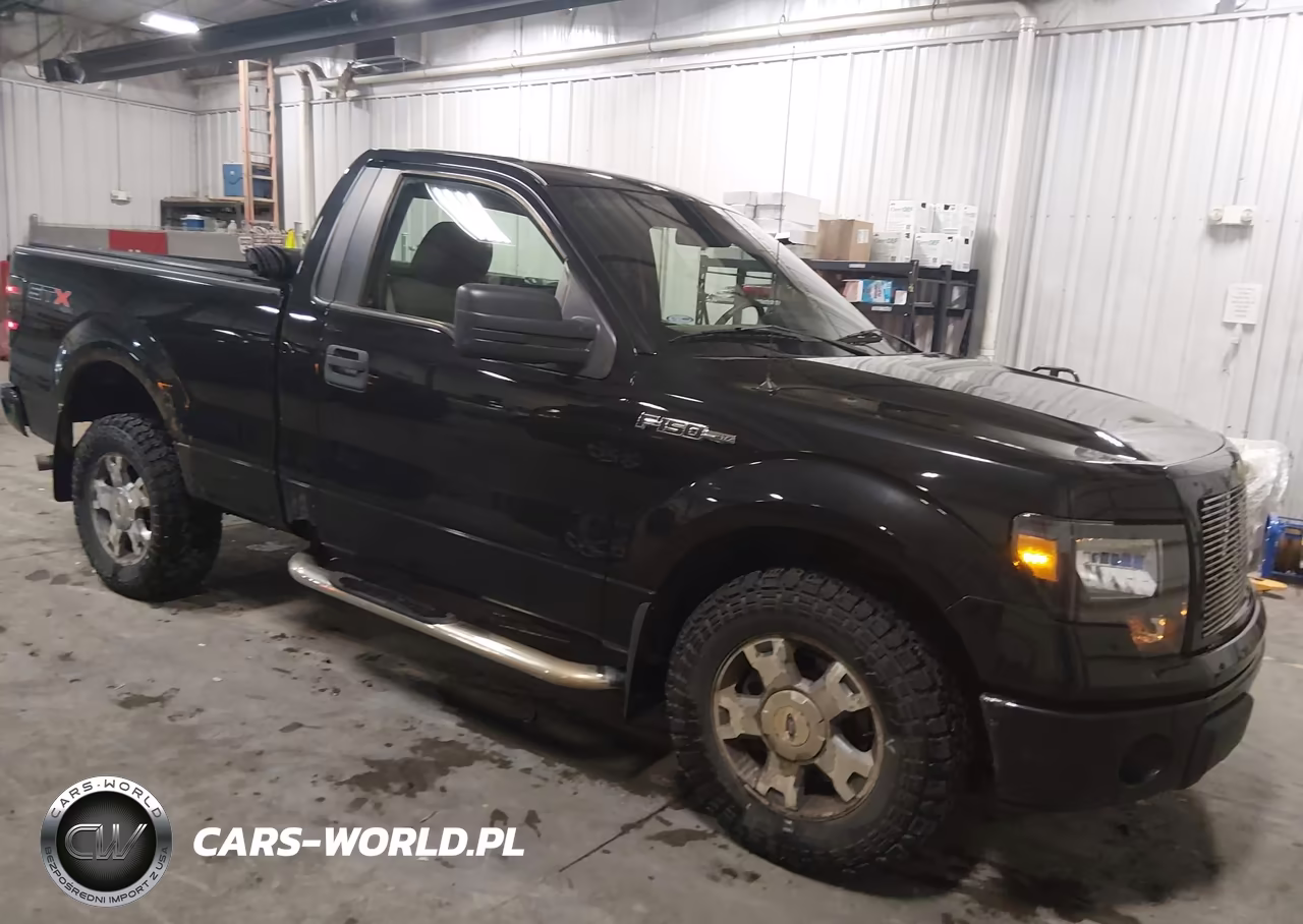 2010 Ford F-150 Stx