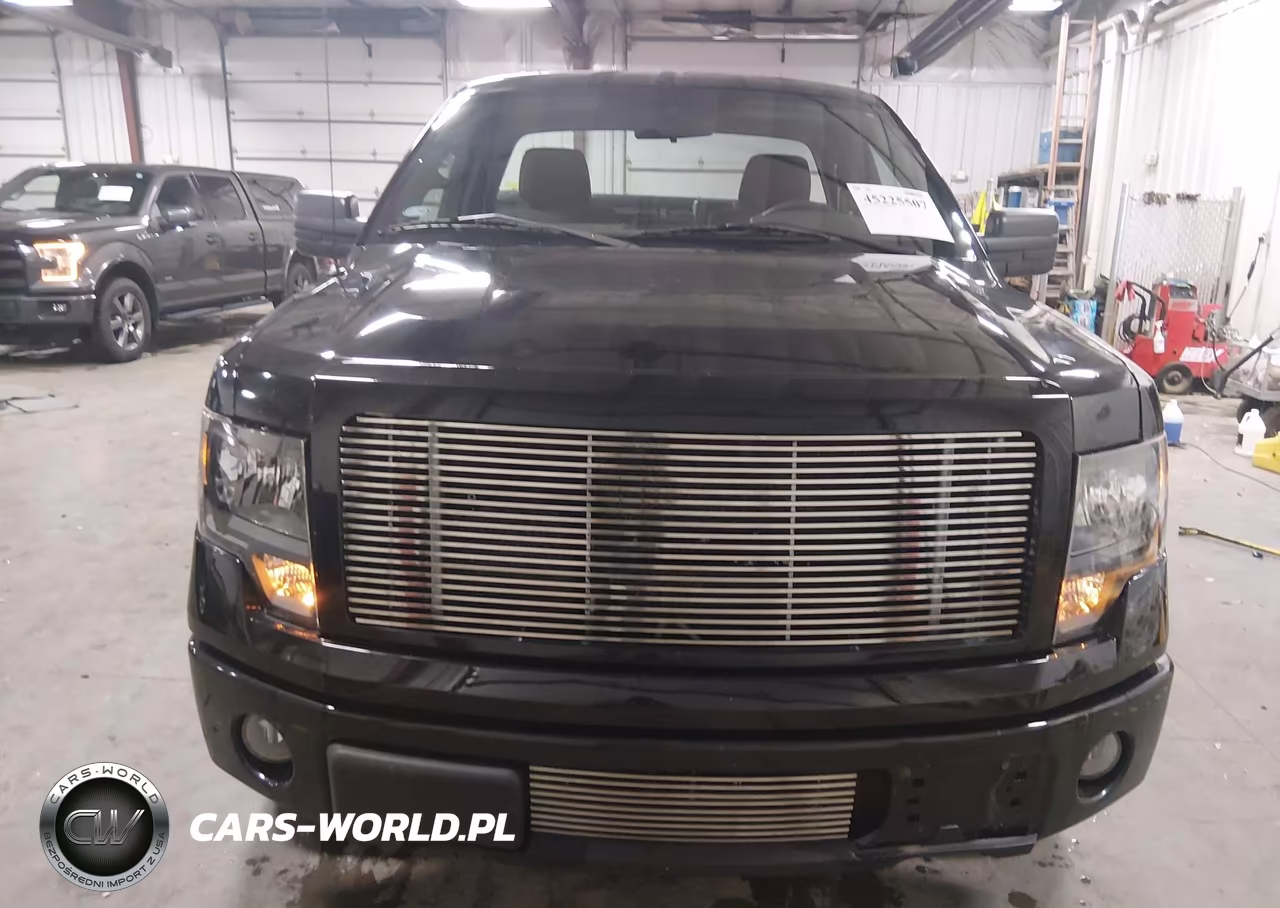 2010 Ford F-150 Stx VIN:1FTMF1EW7AKB24176 - 12