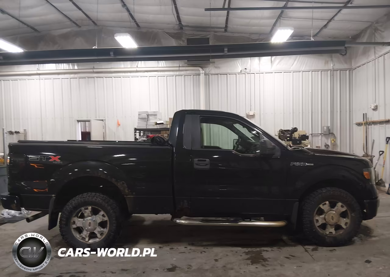 2010 Ford F-150 Stx VIN:1FTMF1EW7AKB24176 - 13