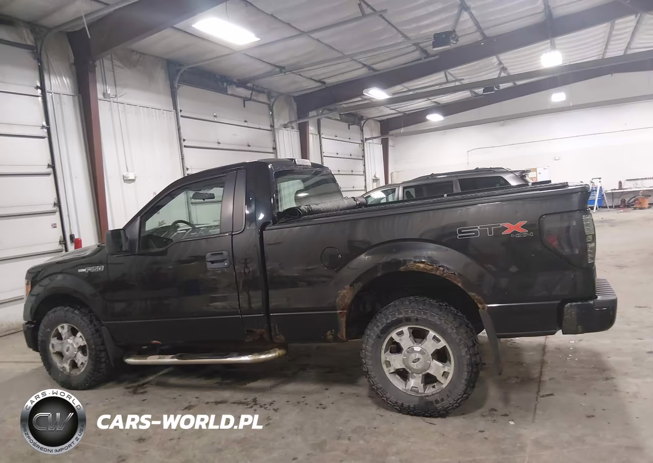 2010 Ford F-150 Stx VIN:1FTMF1EW7AKB24176 - 14