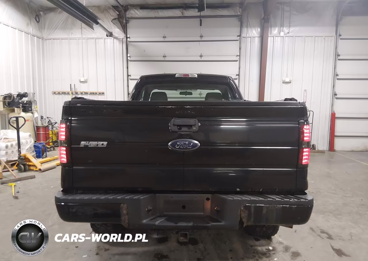 2010 Ford F-150 Stx VIN:1FTMF1EW7AKB24176 - 16