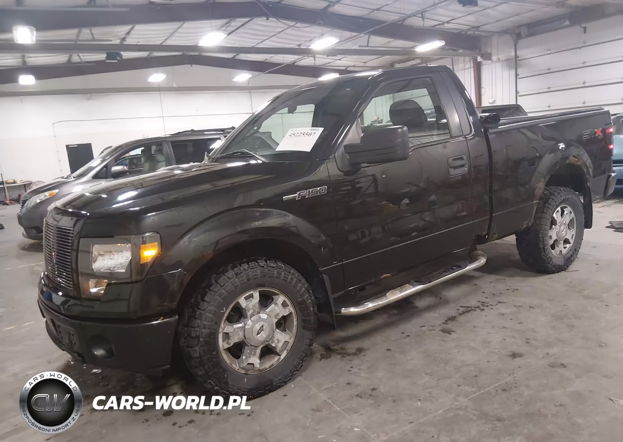 2010 Ford F-150 Stx VIN:1FTMF1EW7AKB24176 - 2