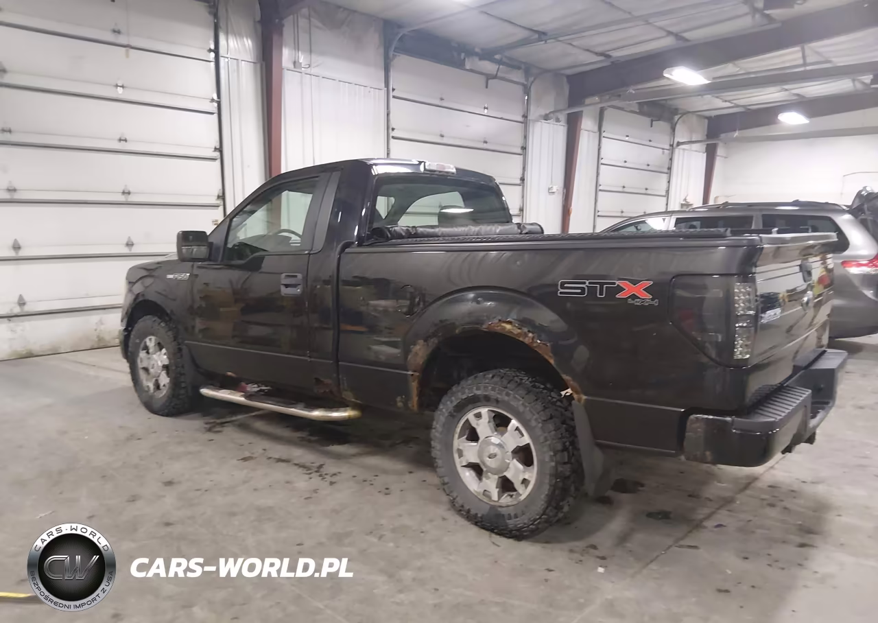 2010 Ford F-150 Stx VIN:1FTMF1EW7AKB24176 - 3