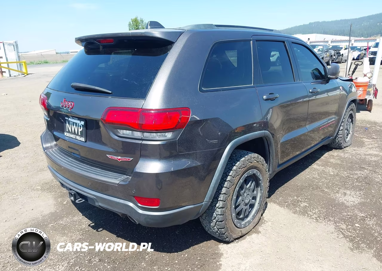 2020 Jeep Grand Cherokee Trailhawk 4X4 VIN:1C4RJFLG3LC314566 - 4