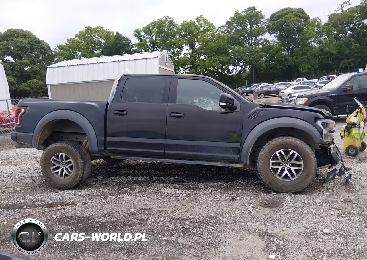 2018 Ford F-150 Raptor VIN:1FTFW1RG4JFE57116 - 14