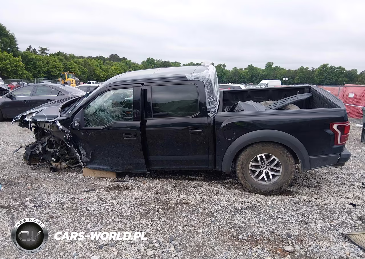 2018 Ford F-150 Raptor VIN:1FTFW1RG4JFE57116 - 15