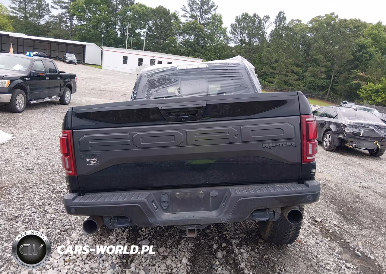 2018 Ford F-150 Raptor VIN:1FTFW1RG4JFE57116 - 17
