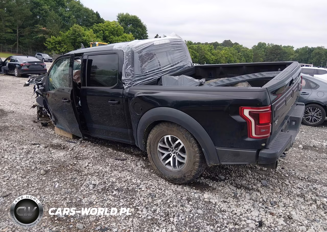 2018 Ford F-150 Raptor VIN:1FTFW1RG4JFE57116 - 3