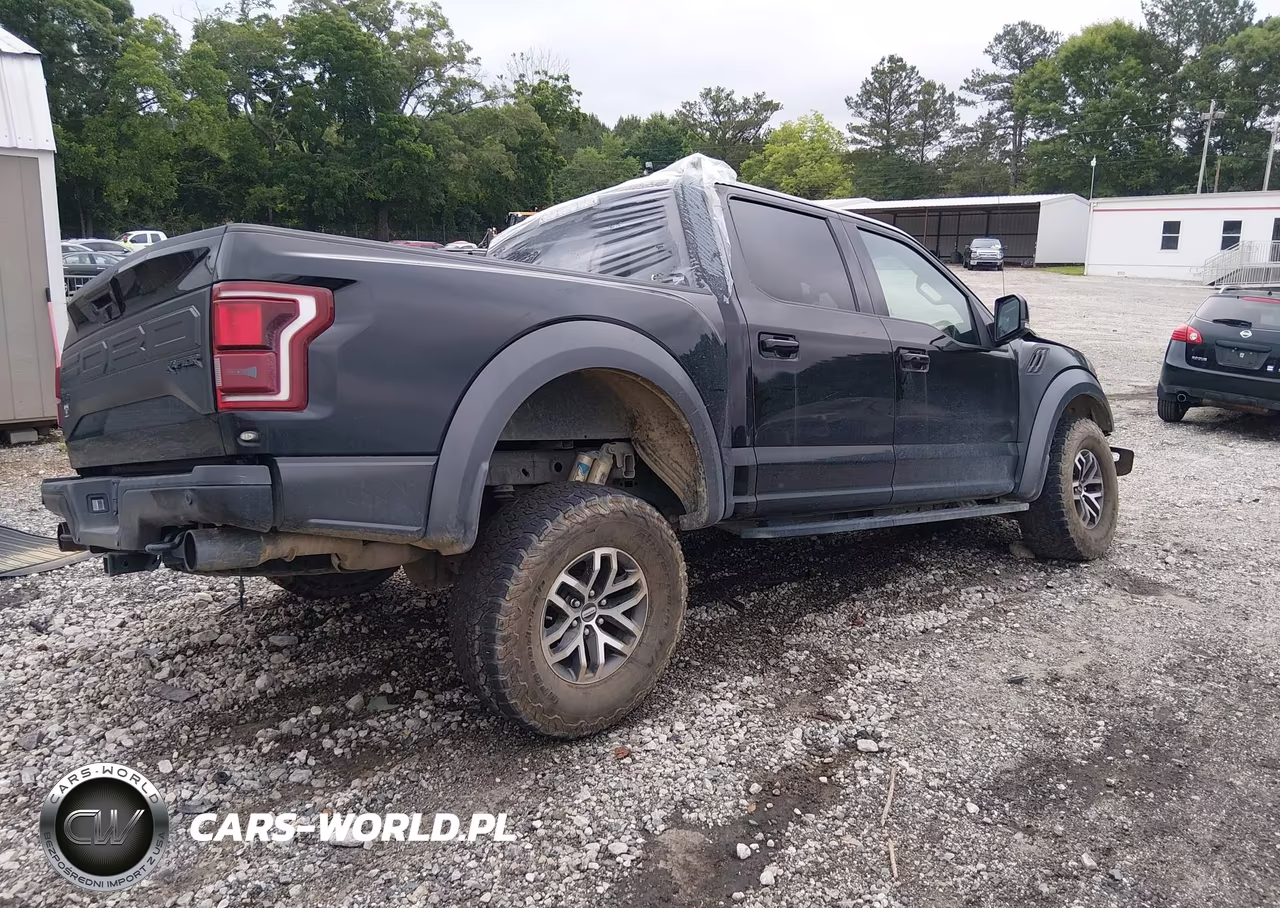 2018 Ford F-150 Raptor VIN:1FTFW1RG4JFE57116 - 4