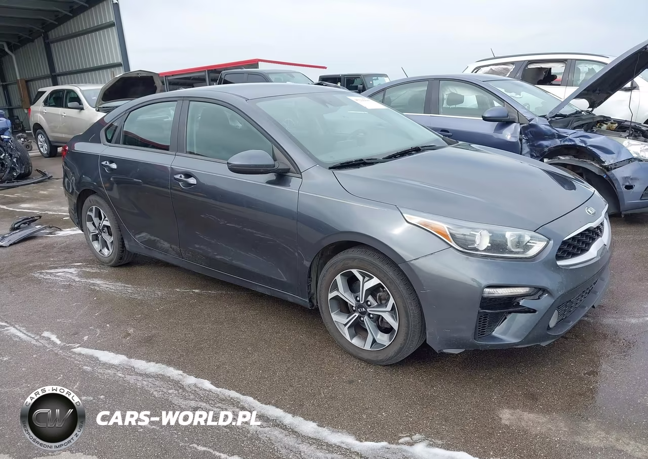 2019 Kia Forte Lxs