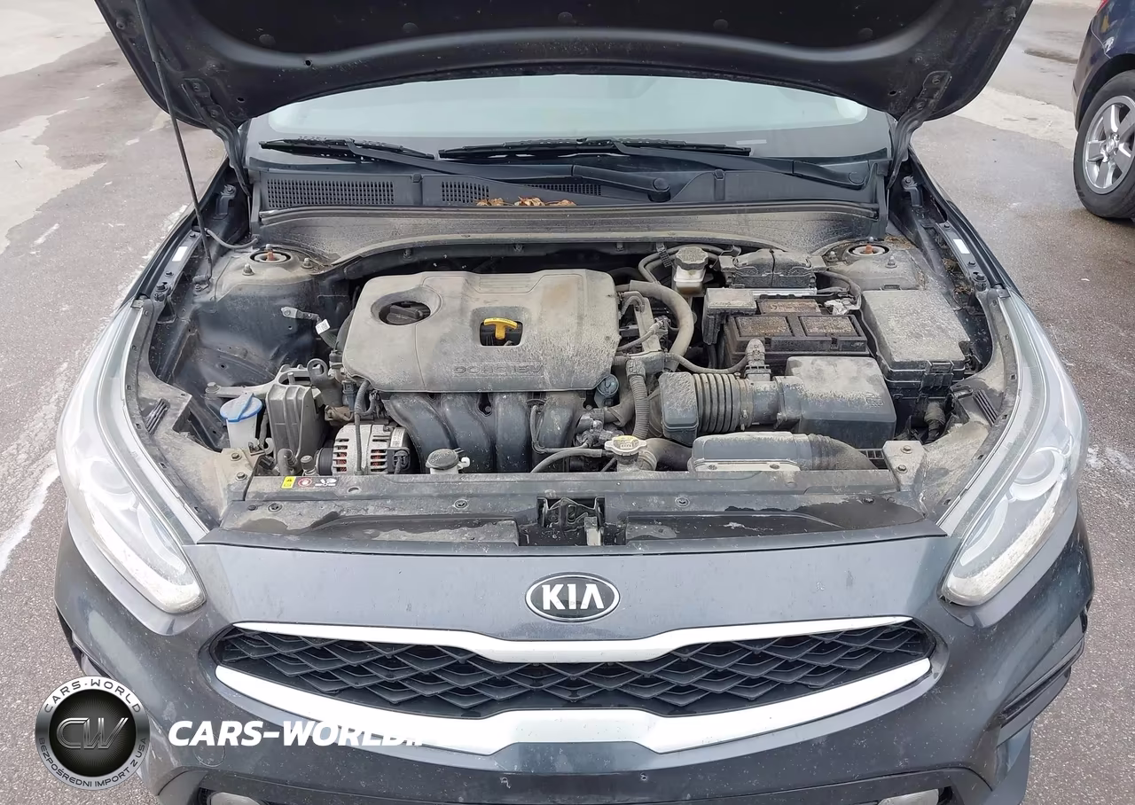 2019 Kia Forte Lxs VIN:3KPF24AD0KE059072 - 10
