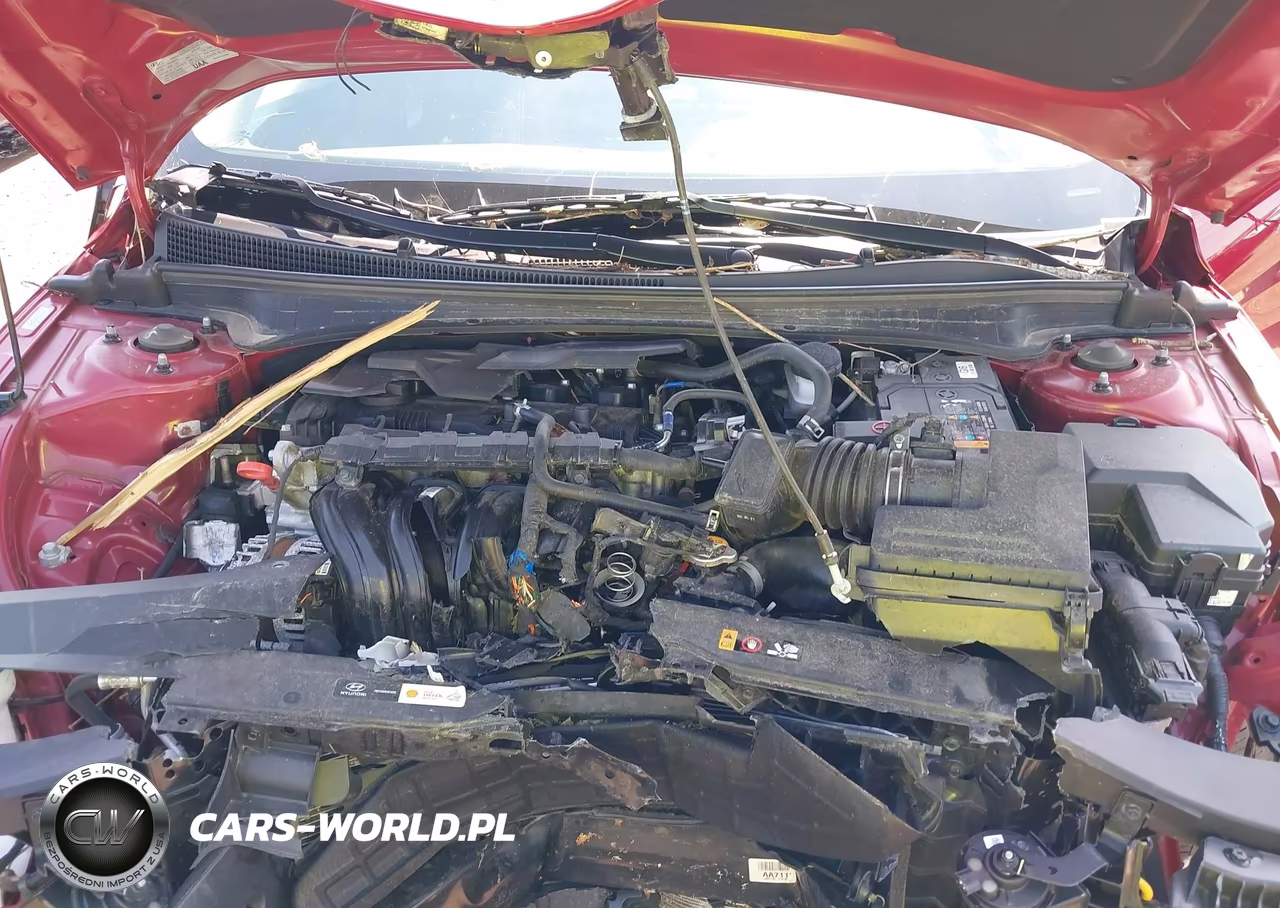 2024 Hyundai Elantra Sel VIN:KMHLS4DGXRU815085 - 10