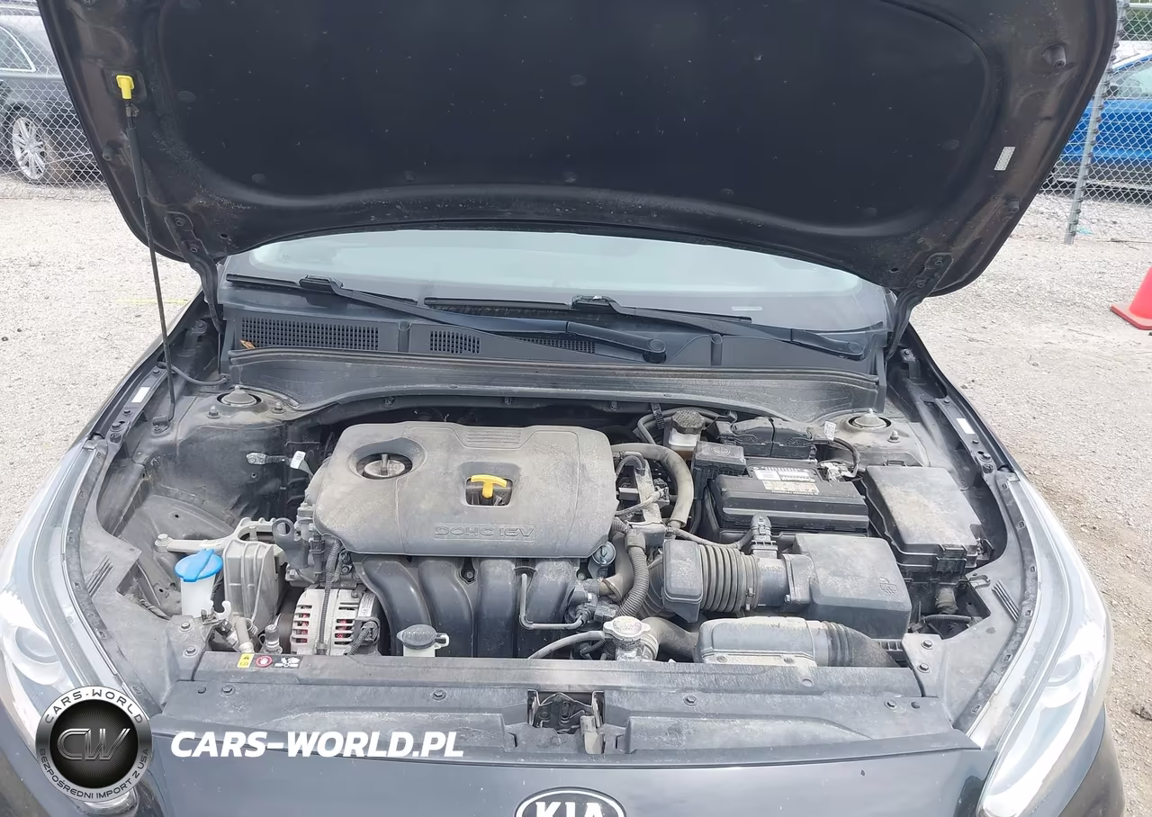 2019 Kia Forte Ex VIN:3KPF54AD8KE094269 - 10