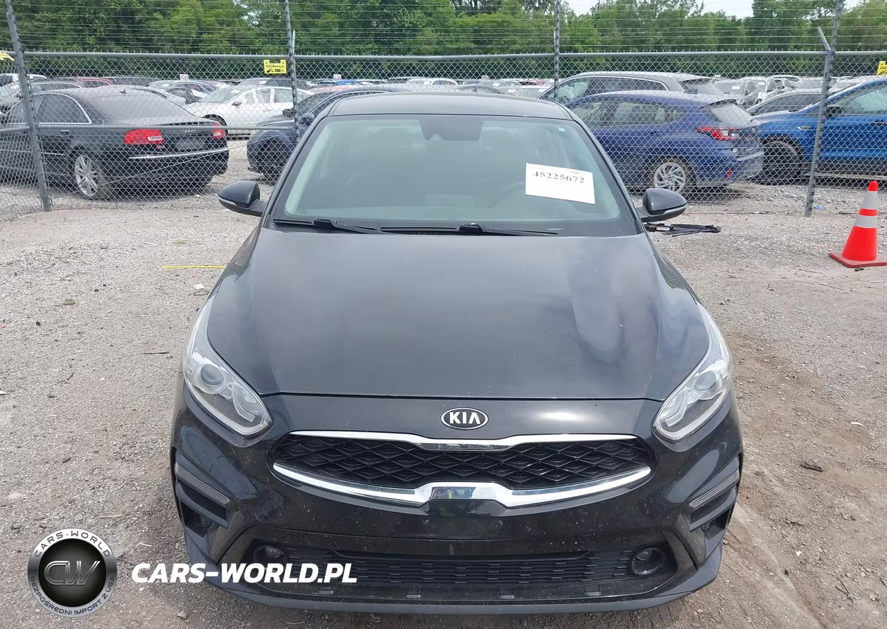 2019 Kia Forte Ex VIN:3KPF54AD8KE094269 - 12